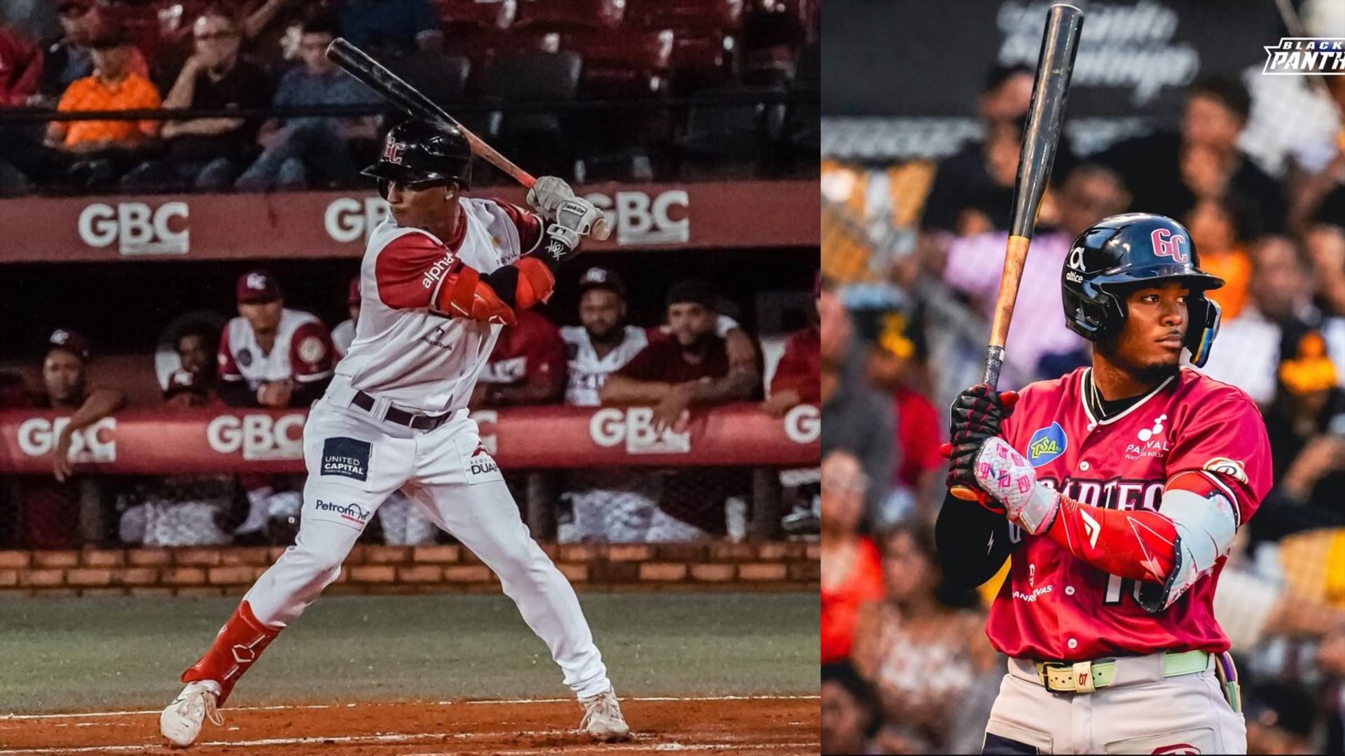 Dos novatos puertoplateños exhiben talento y poder en el inicio del béisbol otoño-invernal dominicano