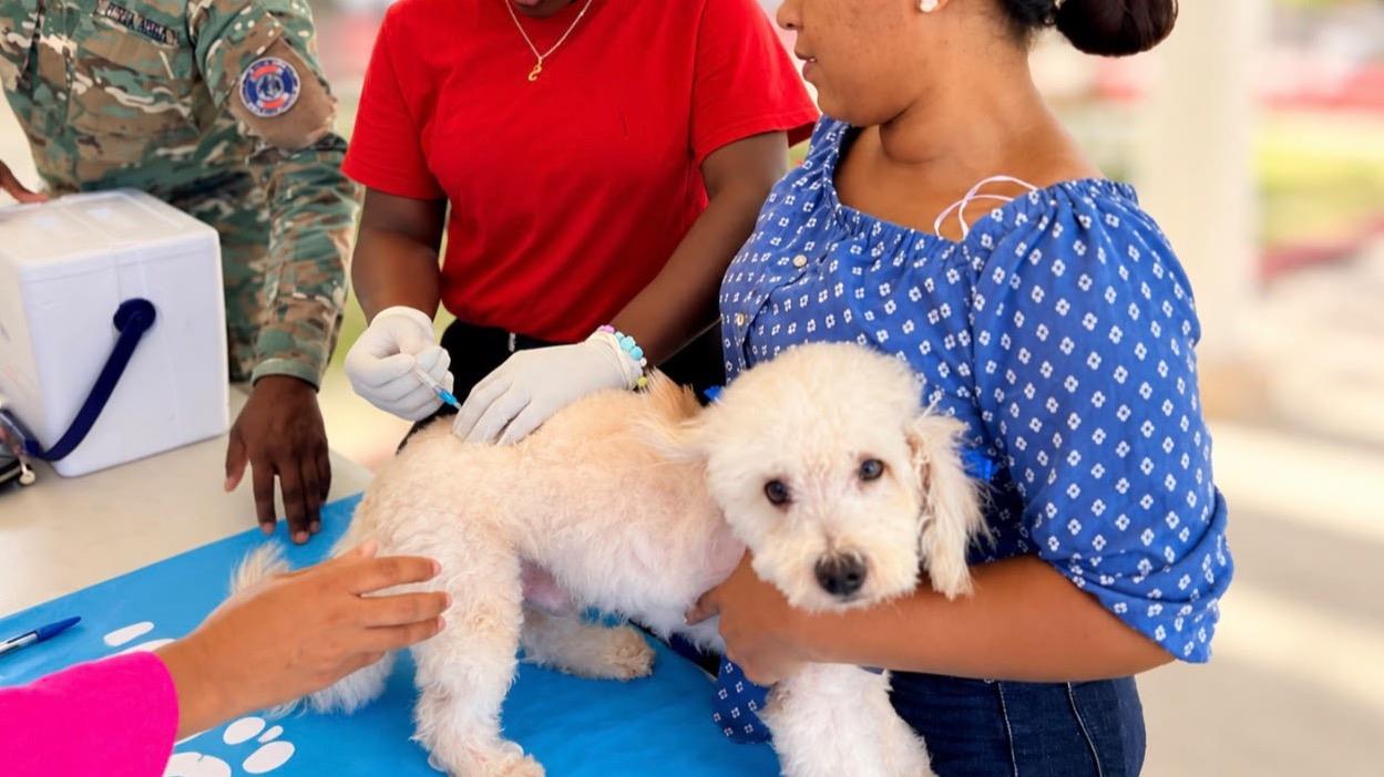 Salud Pública realiza jornada de vacunación de perros y gatos en Puerto Plata para prevenir la rabia