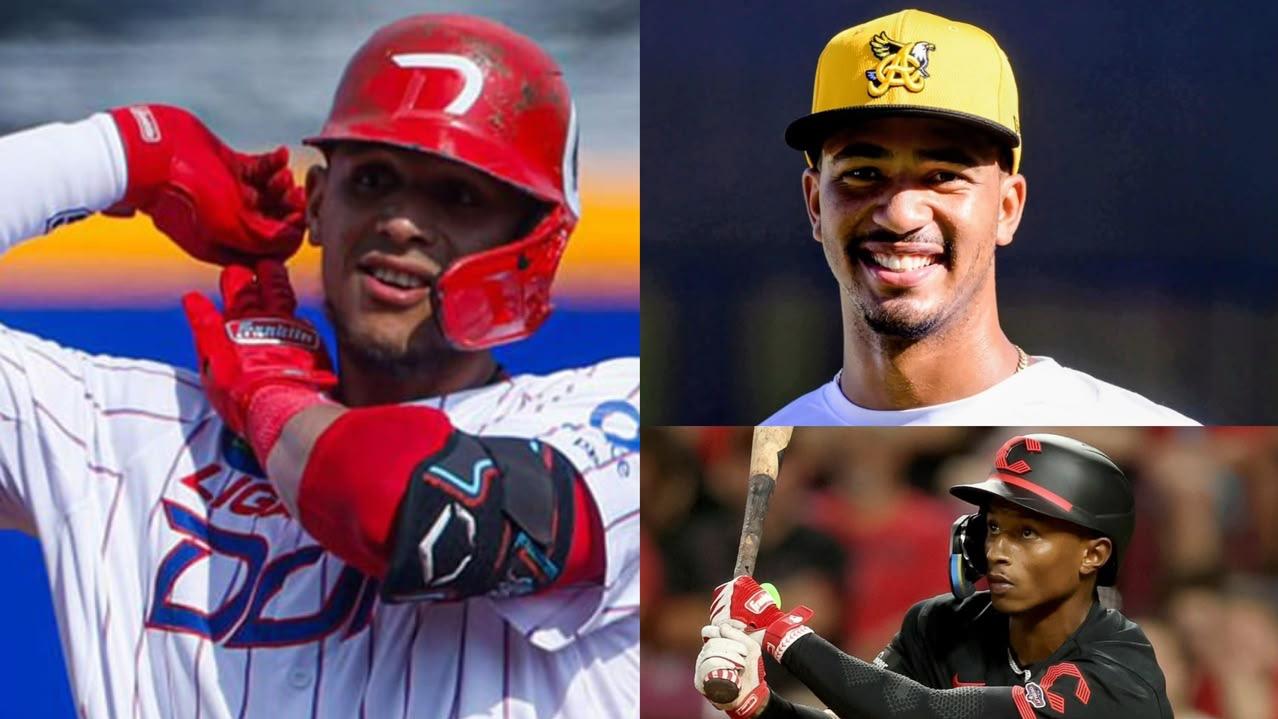 Varios jugadores oriundos de Puerto Plata verán acción con equipos de la Liga de Béisbol Profesional de RD