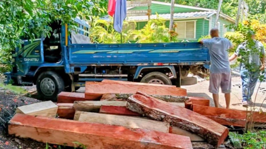 Medio Ambiente incauta troncos de caoba cortados ilegalmente en zona de Puerto Plata
