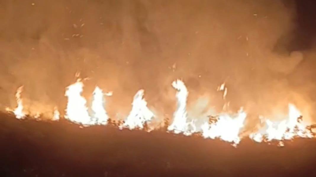 Se registra incendio forestal en área de laguna Goleta de Cabarete; autoridades controlan el fuego