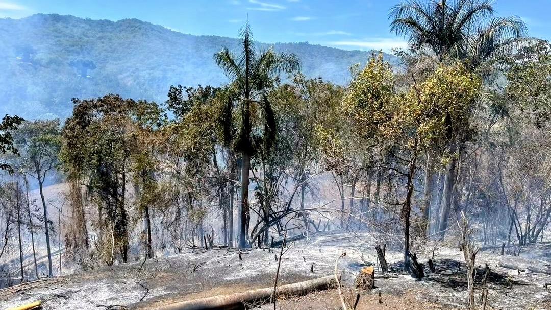 Denuncian incendio forestal que afectó más de 200 tareas de cacao en paraje de Altamira