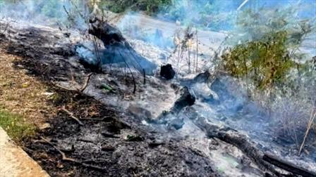 Árbol caído obstruyó tránsito en carretera de Luperón; se registra incendio forestal en Altamira